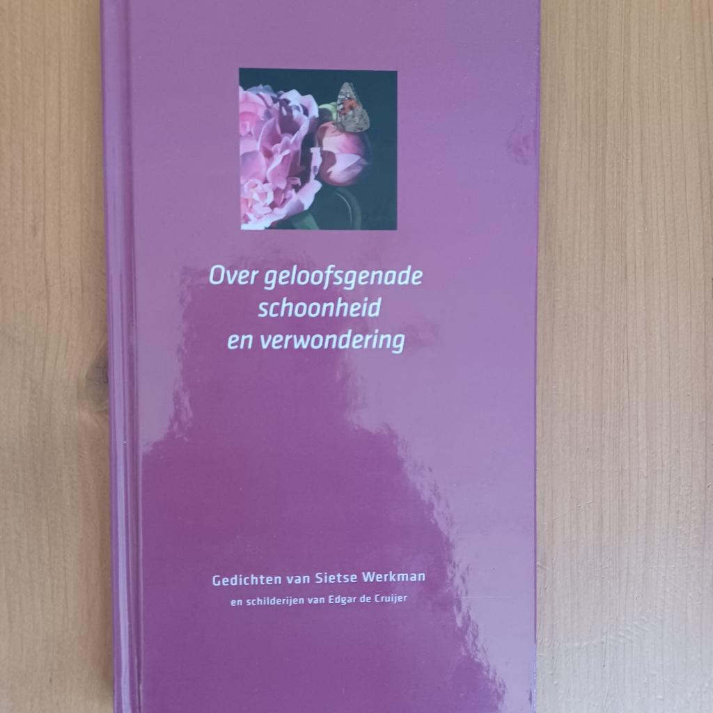 Over geloofsgenade, schoonheid en verwondering, Gelezen, Ophalen of Verzenden, Sietse Werkman, Eén auteur