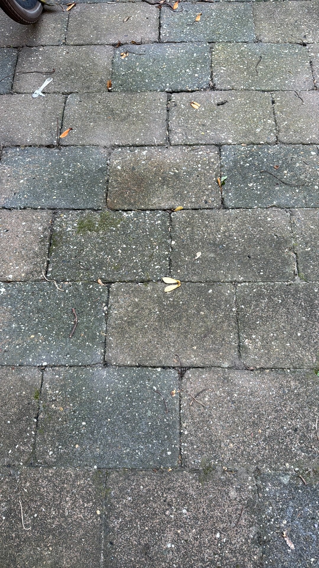 Tegels 10m2, Ophalen, Zo goed als nieuw, Beton, Terrastegels