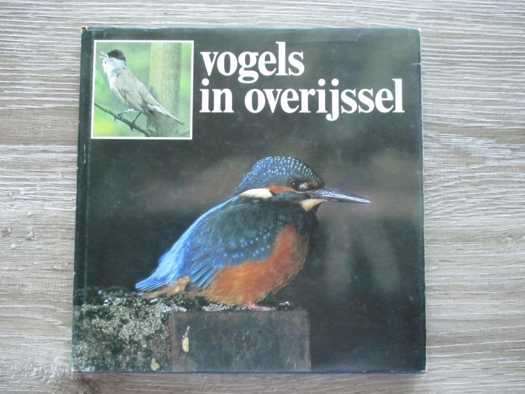 Vogels in overijssel, Ophalen of Verzenden, Gelezen, Vogels