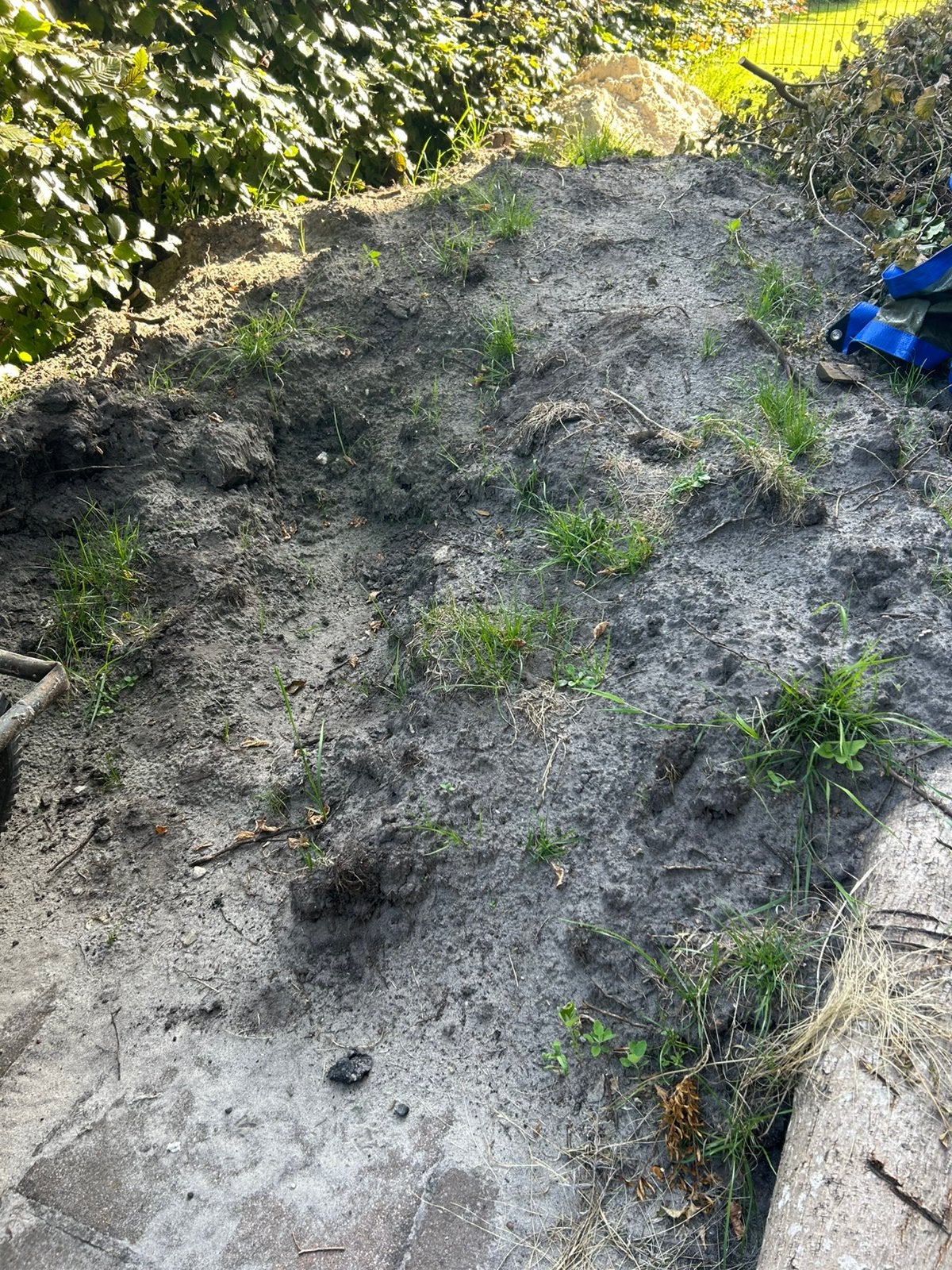 GRATIS afhalen - Zwarte grond / tuin aarde circa 4m3, Ophalen, Overige typen