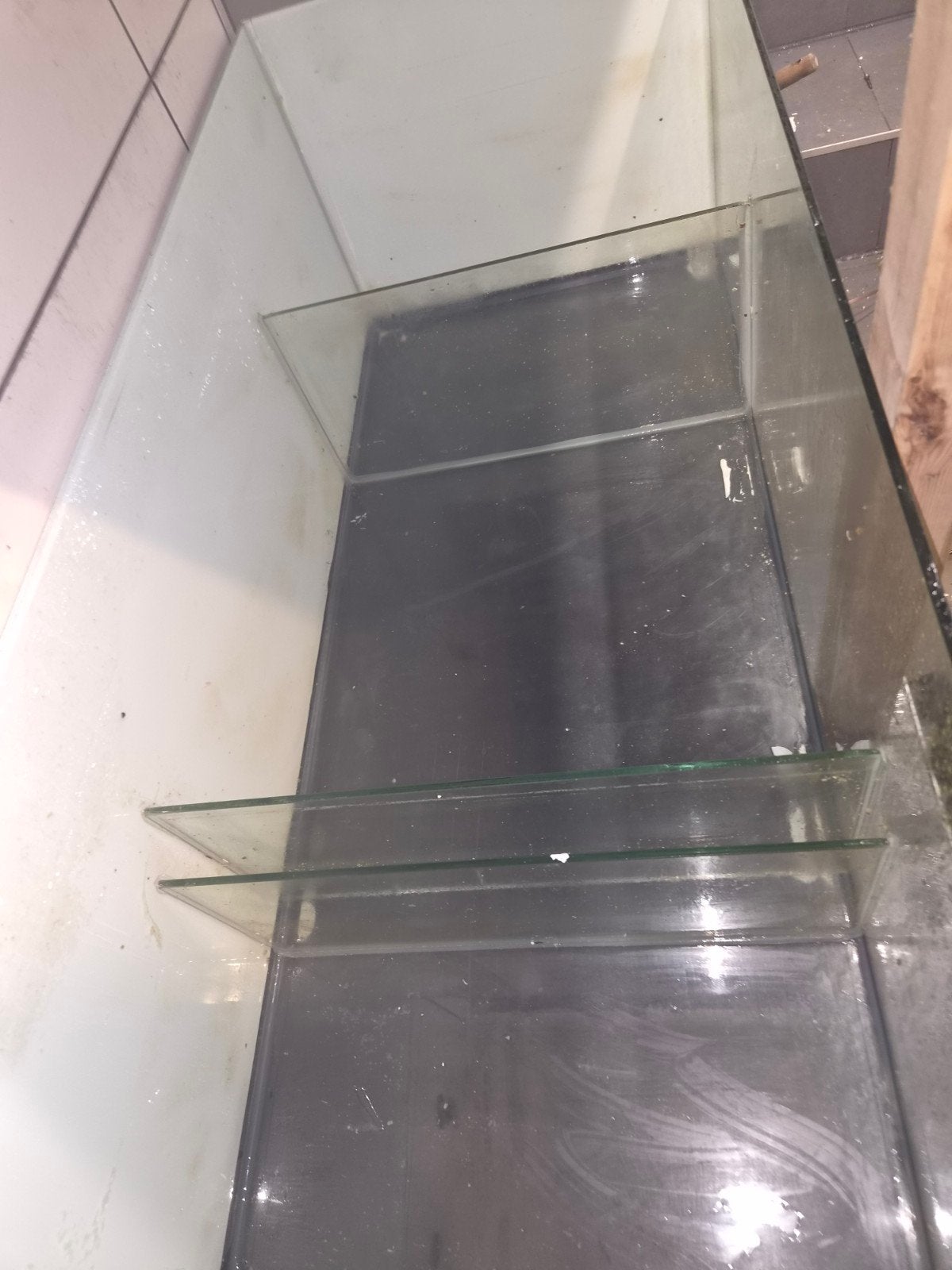 sump voor zeeaquarium 120*50, Dieren en Toebehoren, Ophalen, Gevuld zeewateraquarium