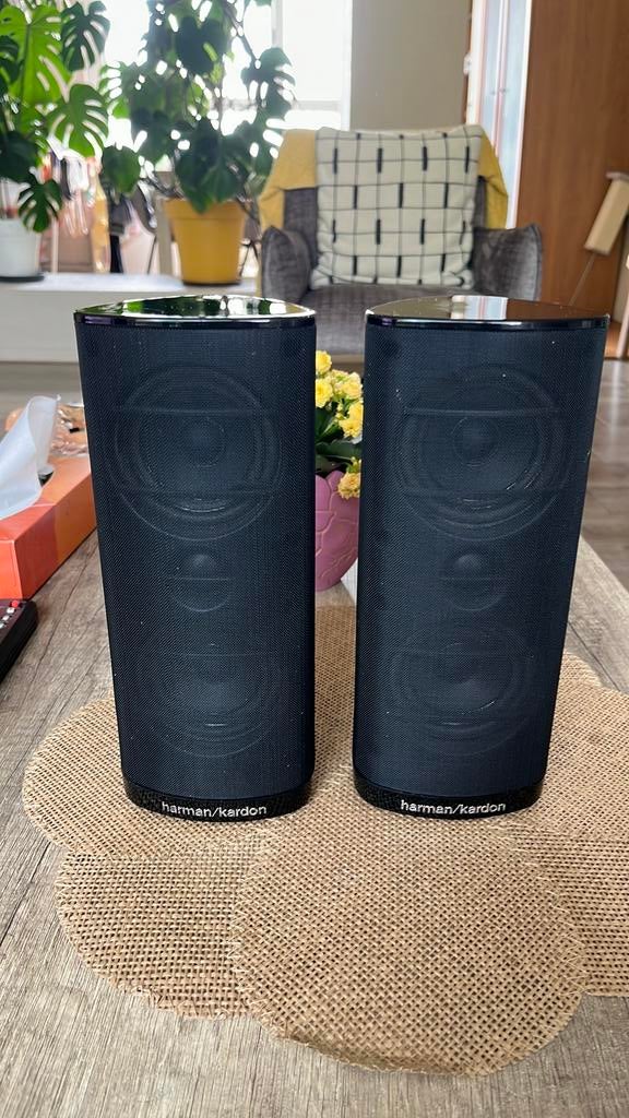 Harman Kardon SAT-TS2BQ – Set van 2 Premium Speakers, Audio, Tv en Foto, Luidsprekers, Gebruikt, 60 tot 120 watt, Front, Rear of Stereo speakers