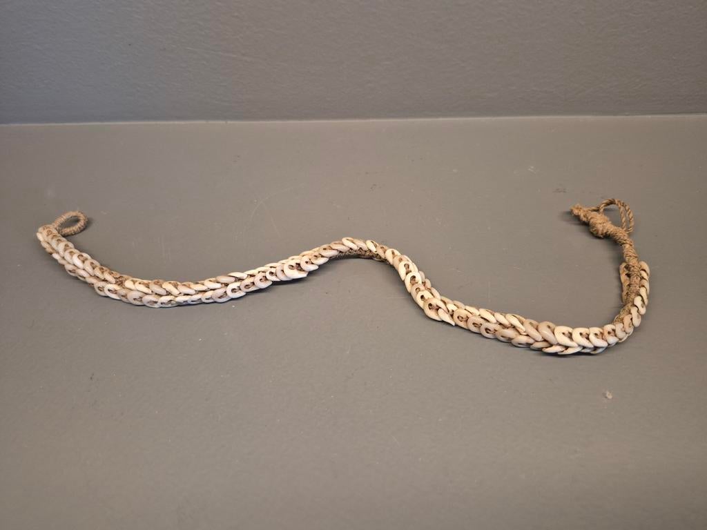 Tribale Kauri ketting Papua new Guinea, Ophalen of Verzenden