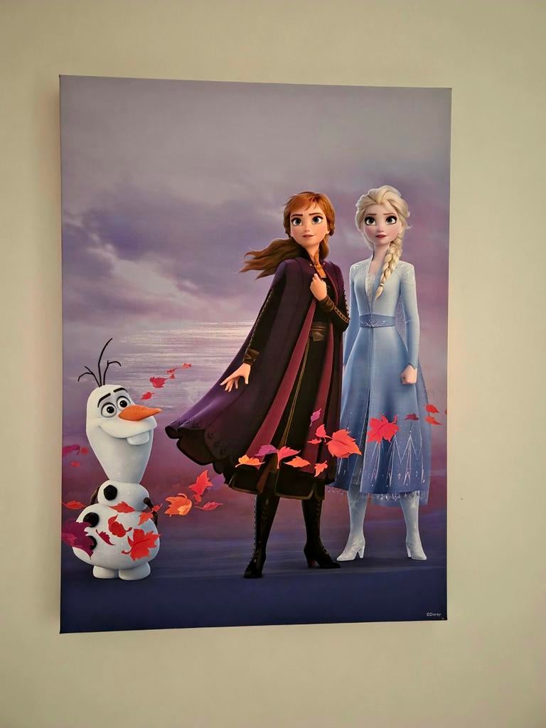 Canvas Frozen, Verzamelen, Posters, Ophalen, Zo goed als nieuw, A1 t/m A3, Film en Tv