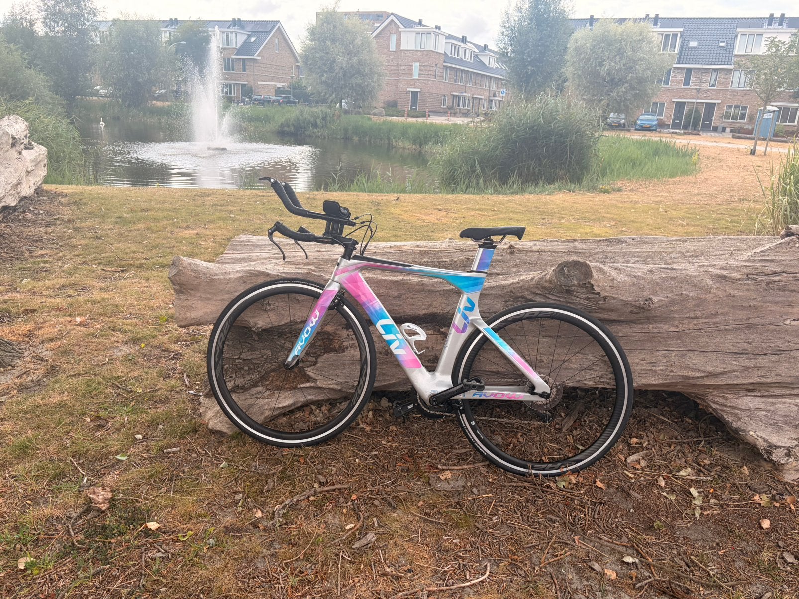 Liv Avow Advanced carbon triathlon-/tijdritfiets, Fietsen en Brommers, Fietsen | Racefietsen, Ophalen, Minder dan 10 versnellingen