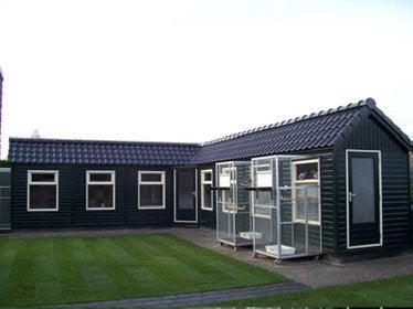 Gezocht: Duivenhok 4,5–6 meter, Dieren en Toebehoren, Vogels | Hokken en Kooien, Ophalen, Gebruikt, Overige materialen, Overige typen