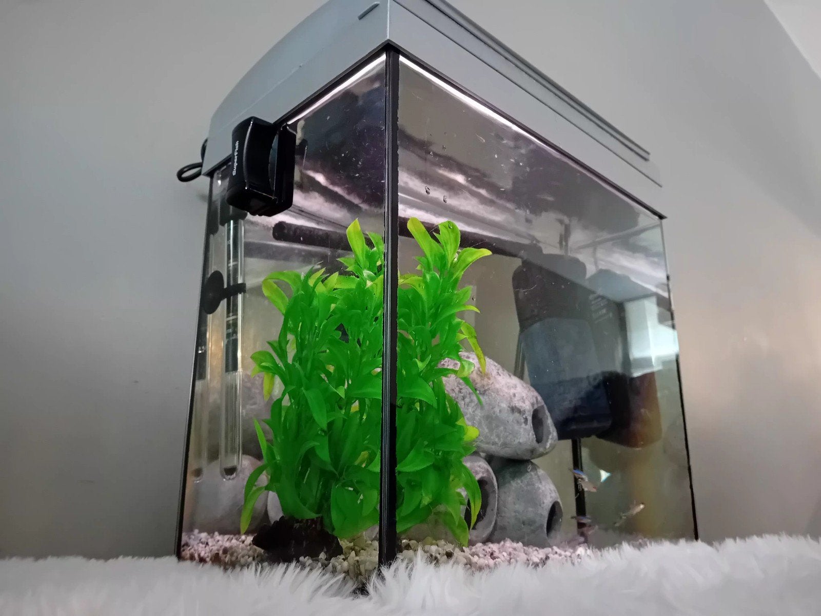 Aquarium met vissen en decoratie!, Ophalen, Inclusief vissen, Zo goed als nieuw, Gevuld zoetwateraquarium