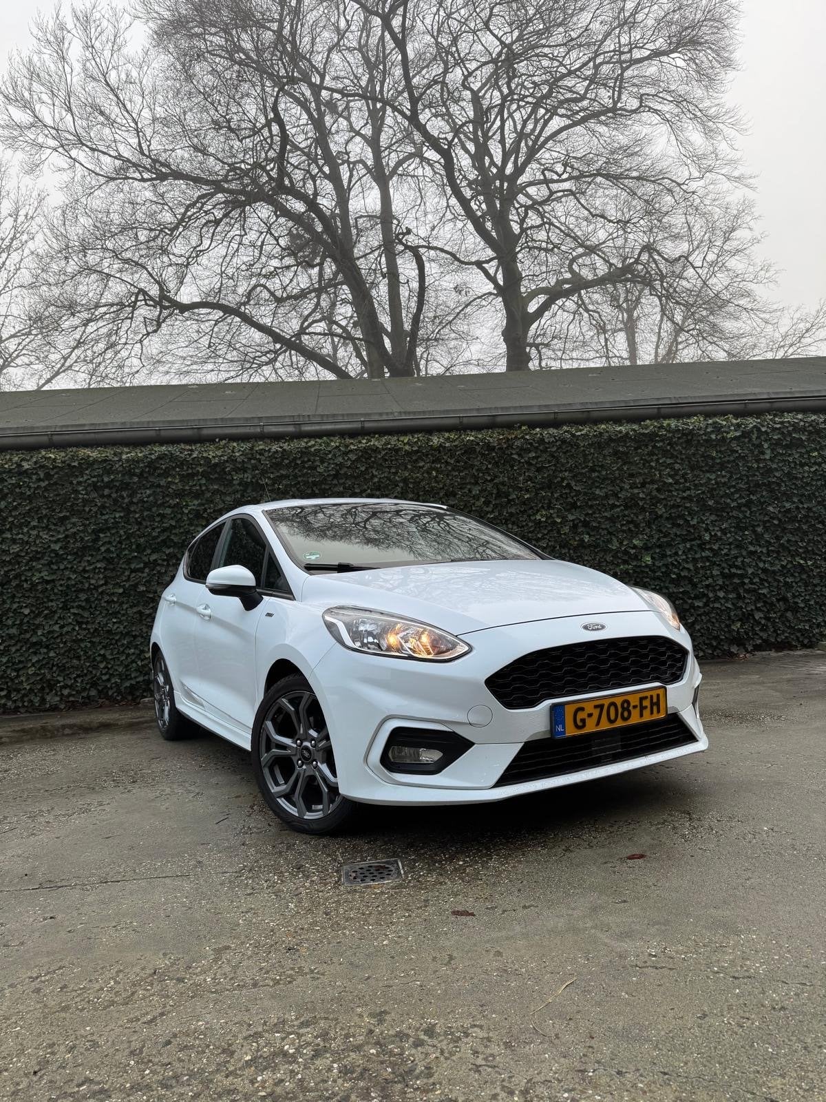 Ford Fiësta 1.0 Ecoboost 100pk 5dr 2019 Wit, Auto's, Voorwielaandrijving, Stof, Zwart, 580 kg