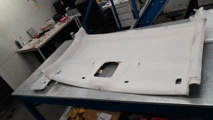 Hemelbekleding van een Peugeot Expert, Gebruikt, -, -, Ophalen of Verzenden
