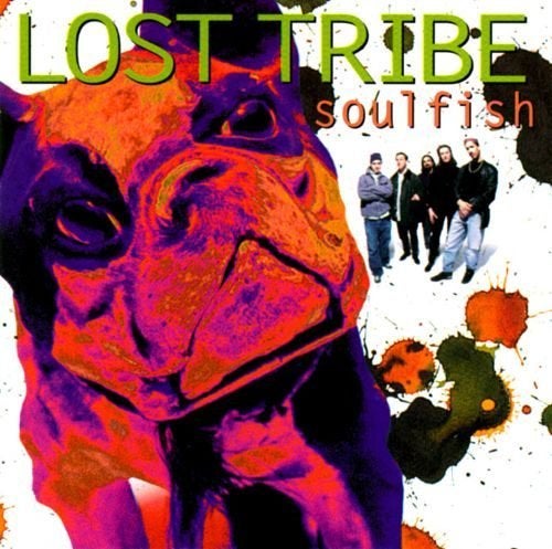 cd van Lost Tribe – Soulfish, Verzenden, Zo goed als nieuw, Jazz
