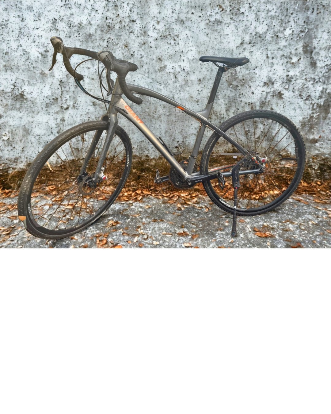 Giant  toerfiets Touring Bike - Ideaal voor lange afstanden, Ophalen, 28 inch, Gebruikt, Heren