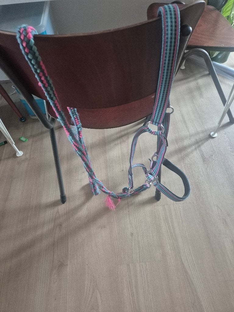 kleurrijk halster met halstertouw, Ophalen, Overige disciplines, Meerkleurig, Zo goed als nieuw