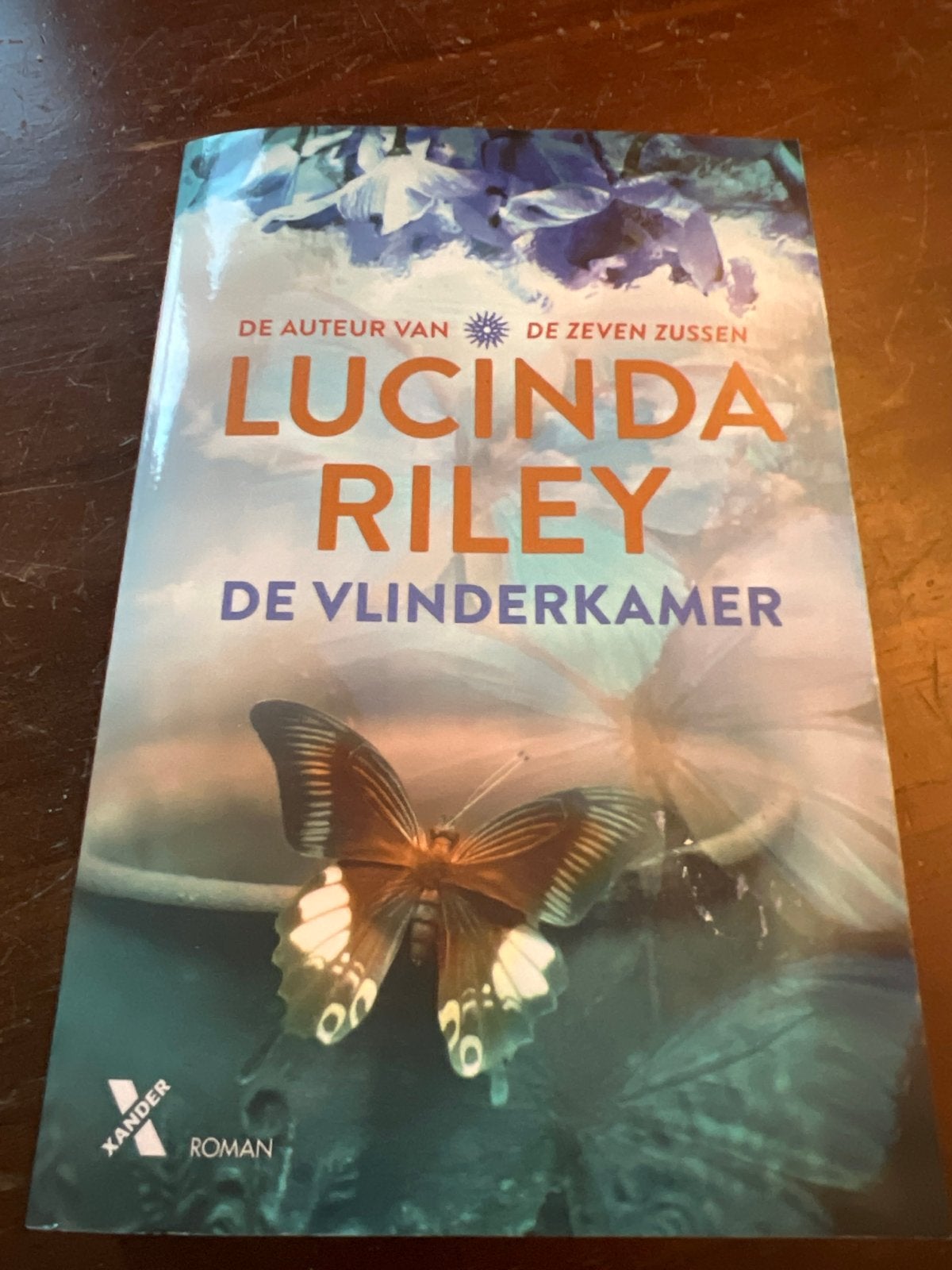 Lucinda Riley - De Vlinderkamer (Roman), Boeken, Romans, Ophalen of Verzenden, Gelezen, Europa overig