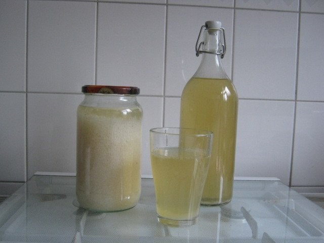 Waterkefir om zelf te maken, Ophalen of Verzenden