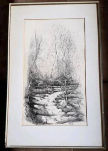 Orig  Pentekening bos Limburg Gertrude Fober (1929- 2013), Antiek en Kunst, Kunst | Tekeningen en Foto's, Ophalen