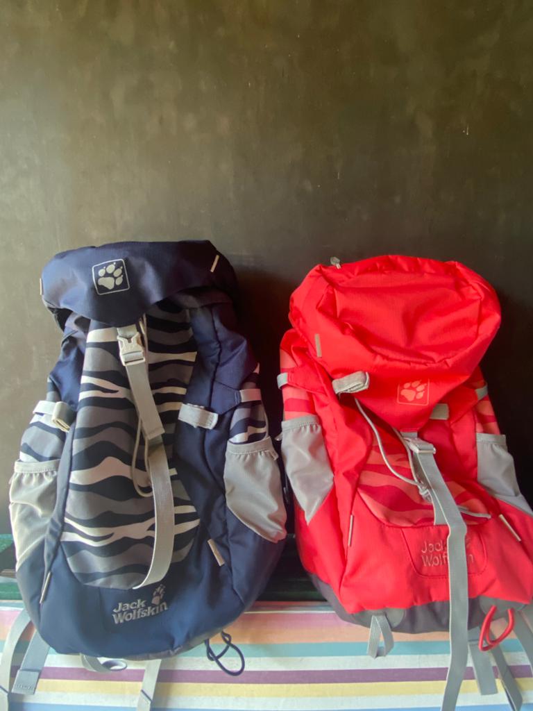 Twee Jack Wolfskin Kids Alpine Trail Backpacks 20 liter, Ophalen, Zo goed als nieuw, Rugzak