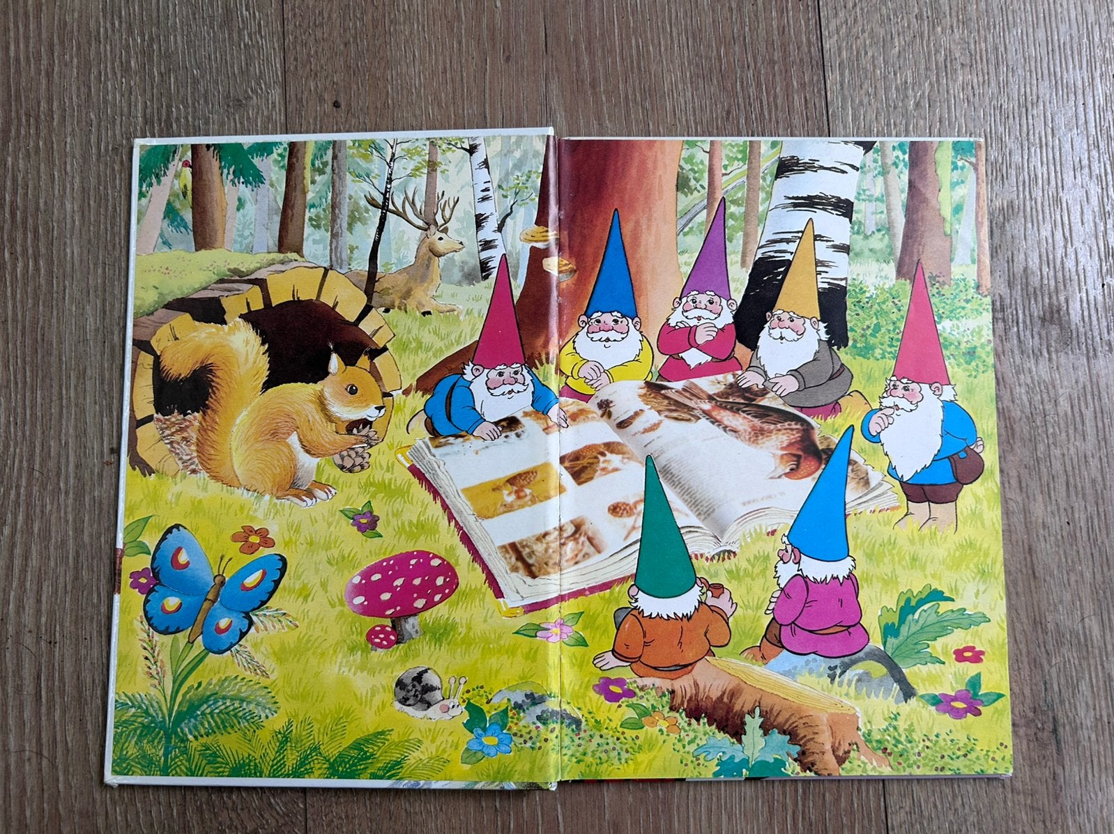 Boek de wereld van David de Kabouter, nummer 3, Boeken, Jongen of Meisje, Ophalen of Verzenden, Zo goed als nieuw, Voorleesboek