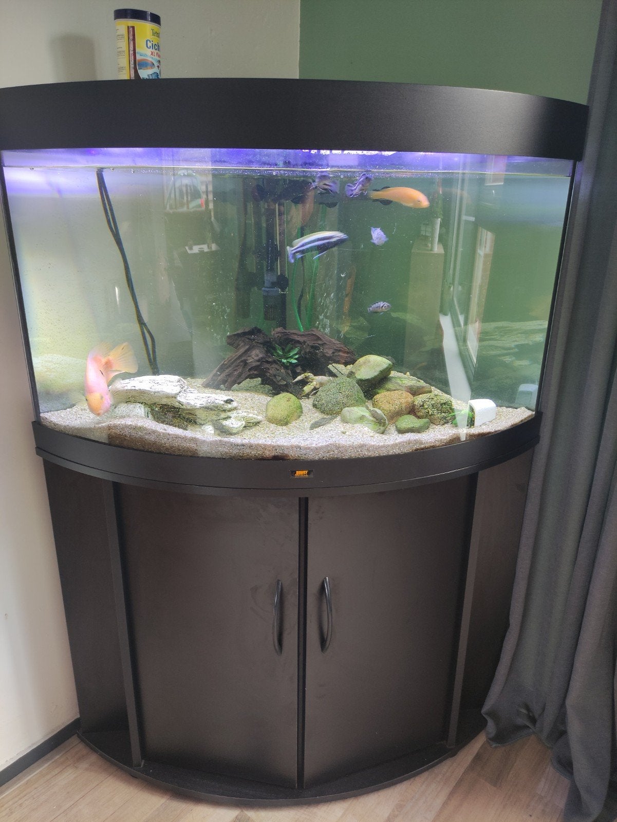 aquarium met visbestand, Ophalen, Gevuld zoetwateraquarium