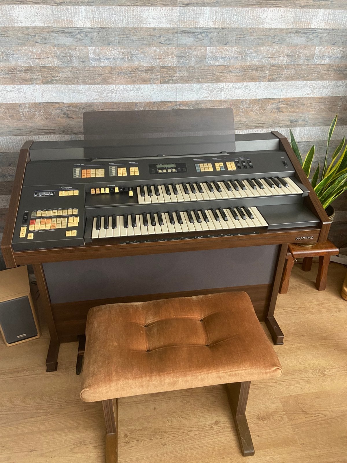 Hammond orgel, Muziek en Instrumenten, Orgels, Ophalen, Zo goed als nieuw, 2 klavieren, Orgel
