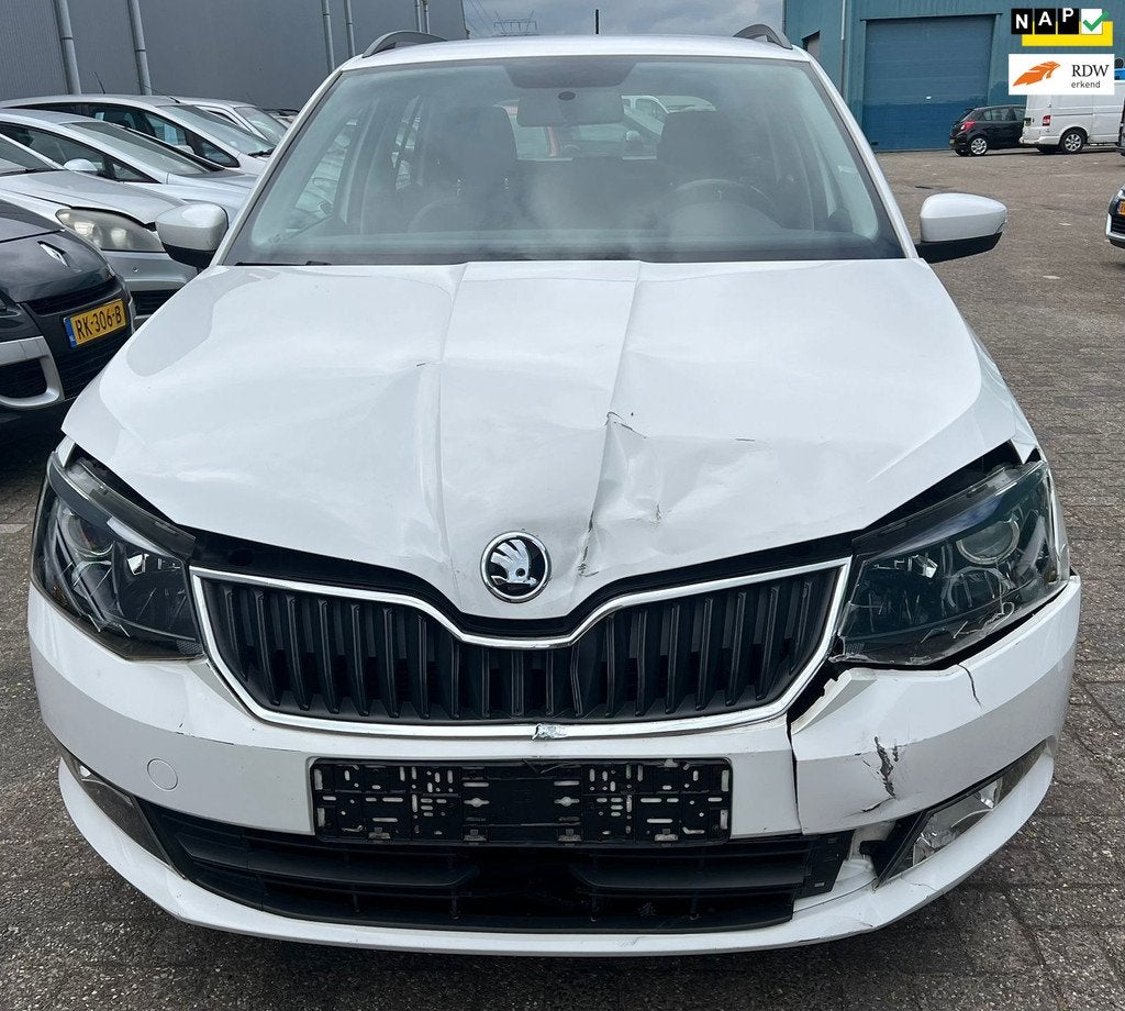 Skoda Fabia Combi 1.0 Ambition driving good, Euro 6, LED verlichting, 979 kg, Wit
