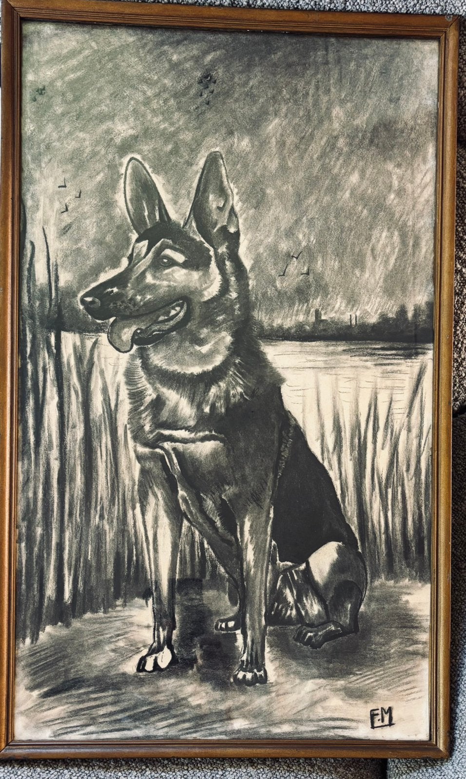 Klassieke Naoorlogse Tekening Duitse Herder FM Frits Meijer, Ophalen of Verzenden