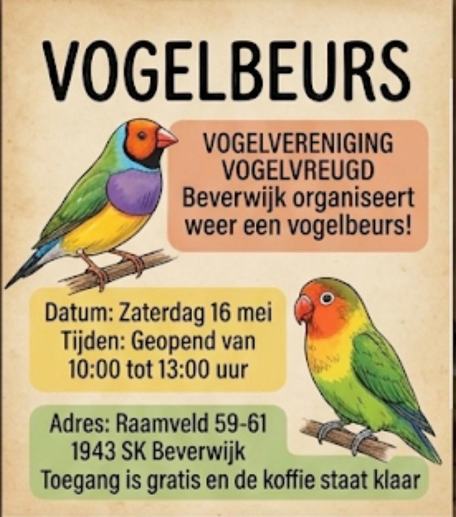 vogelbeurs, Meerdere dieren, Parkiet