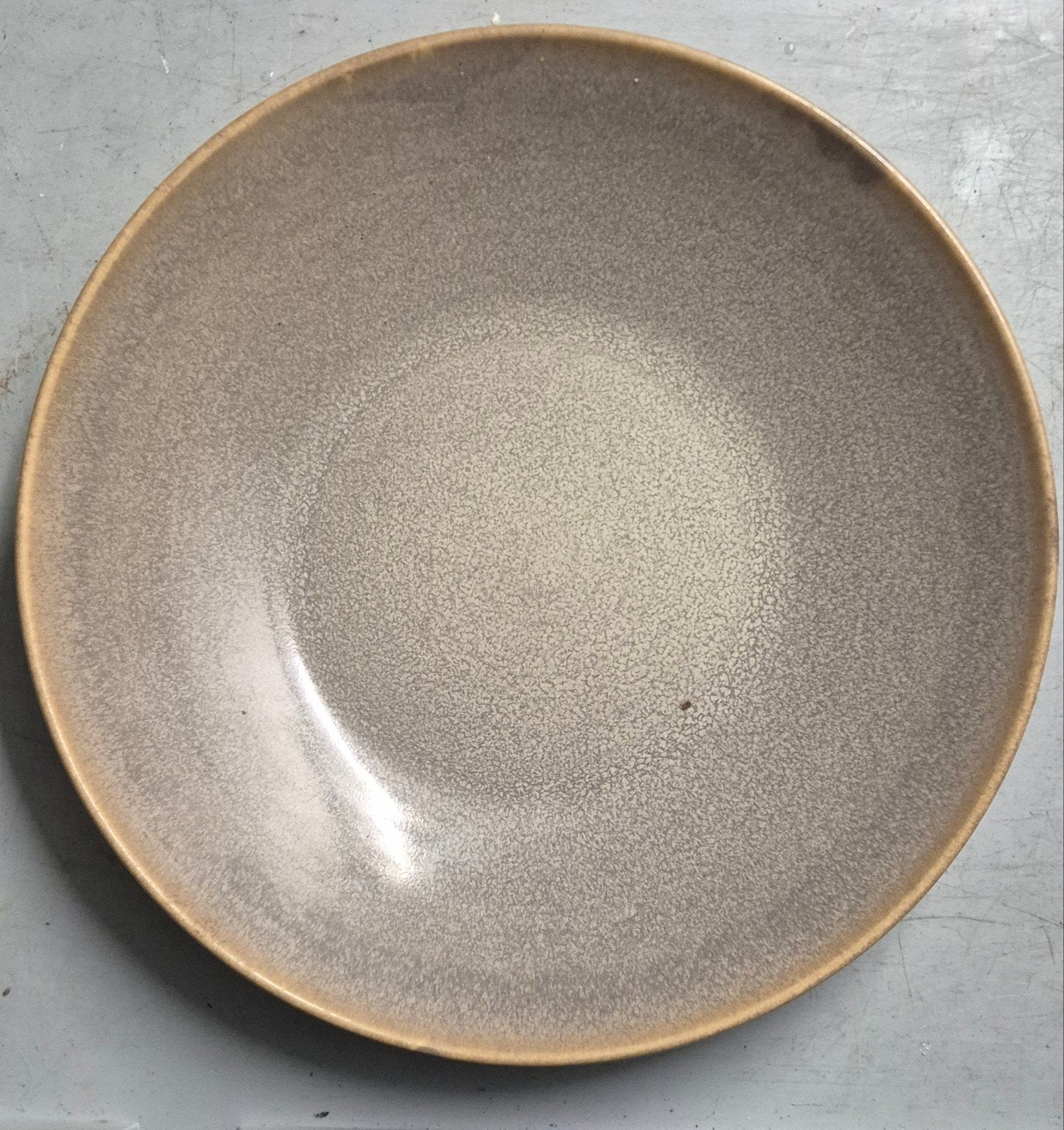 Dudson Horeca Kwaliteit borden 11 stuks - Ø 29cm, Hoogte 5cm, Ophalen, Gebruikt, Porselein of Keramiek, Schaal
