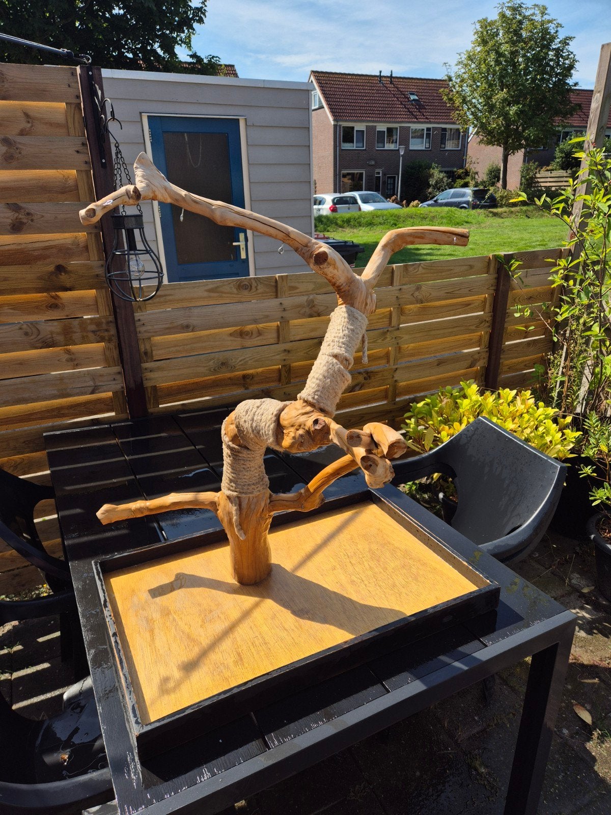 java boom / vogelboom, Dieren en Toebehoren, Ophalen