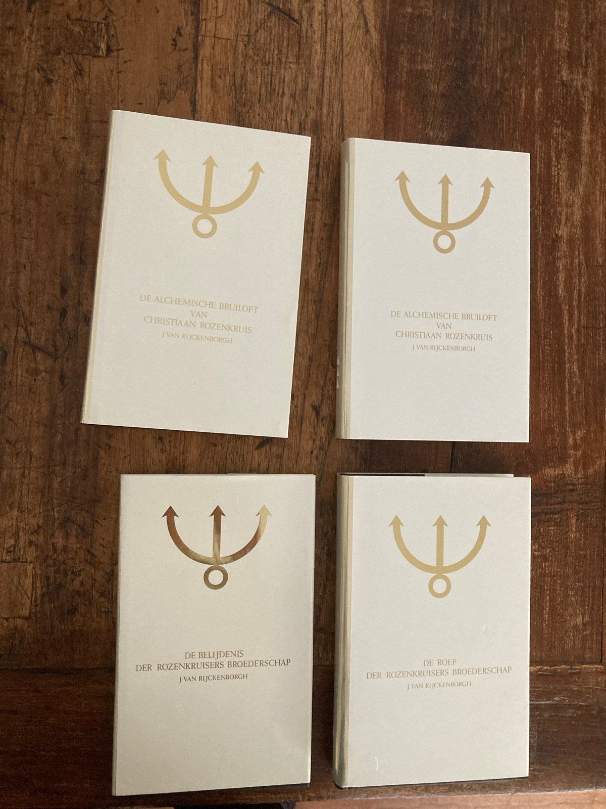 Rozenkruisers Broederschap serie - Nieuwstaat, Boeken, Verzenden, Nieuw, Spiritualiteit algemeen, Verhaal of Roman
