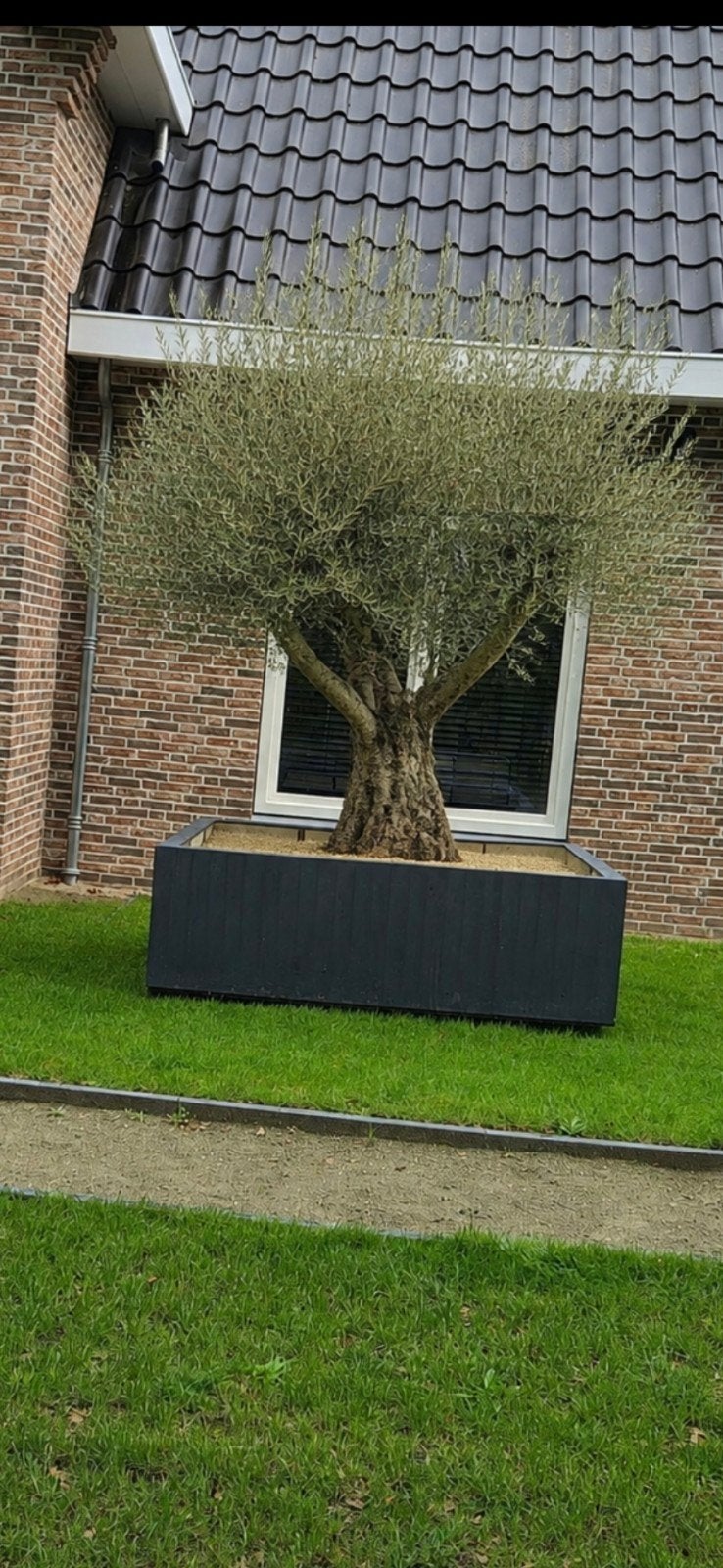 Grote vierkante Plantenbakken 200x200x60cm 2 stuks, Ophalen, Kunststof, Gebruikt, 100 cm of meer