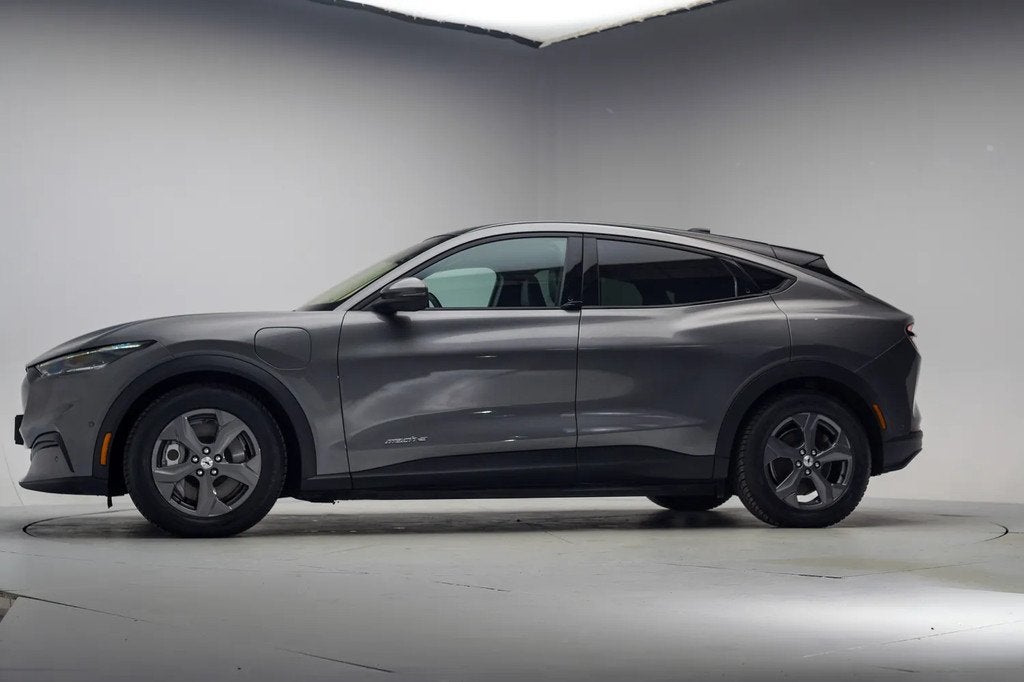 Ford Mustang Mach-E RWD 75 kWh [ Panorama Leder B&O LED ], Auto's, Ford, Automaat, 0 cilinders, Gebruikt, 750 kg