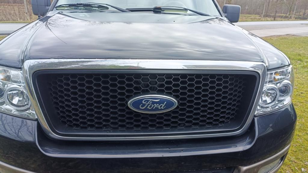 Ford F150 Grill 2006, Auto-onderdelen, Gebruikt, Ford, Voor, Ophalen of Verzenden