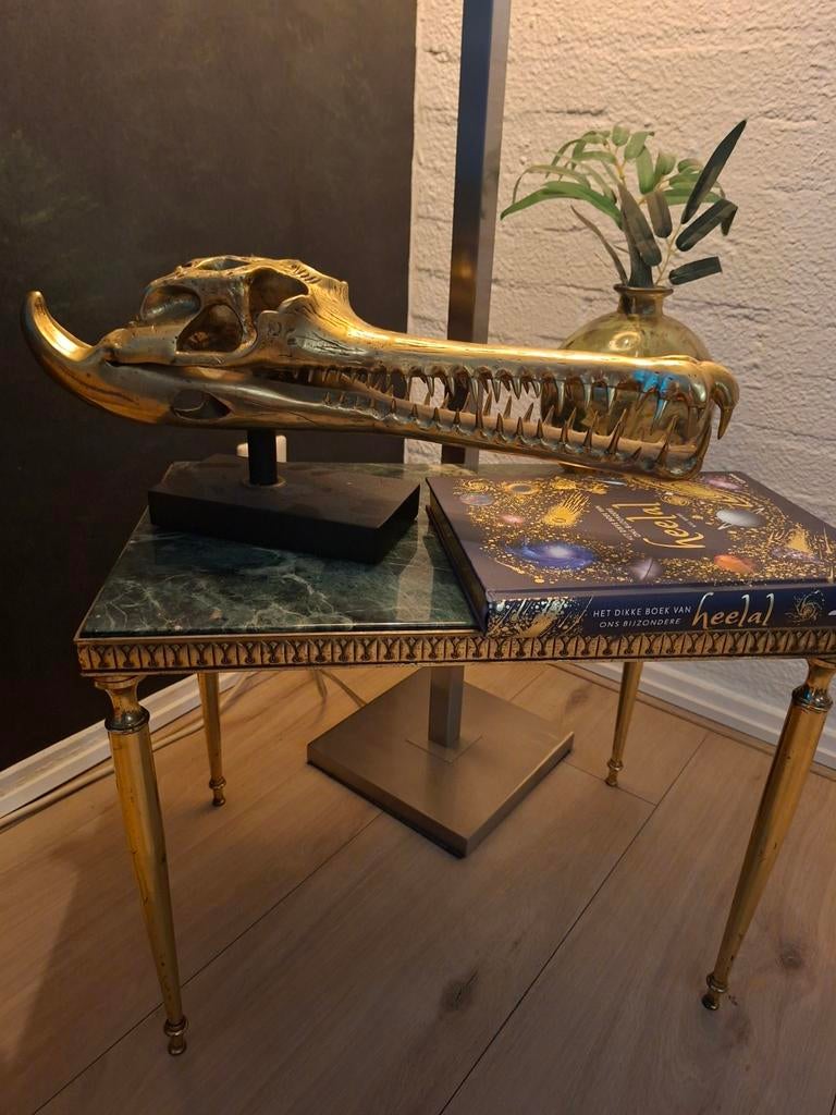 XL Gouden gaviaal schedel sooka design kunst woondecoratie, 50 tot 100 cm, Rond, Nieuw, Ophalen of Verzenden