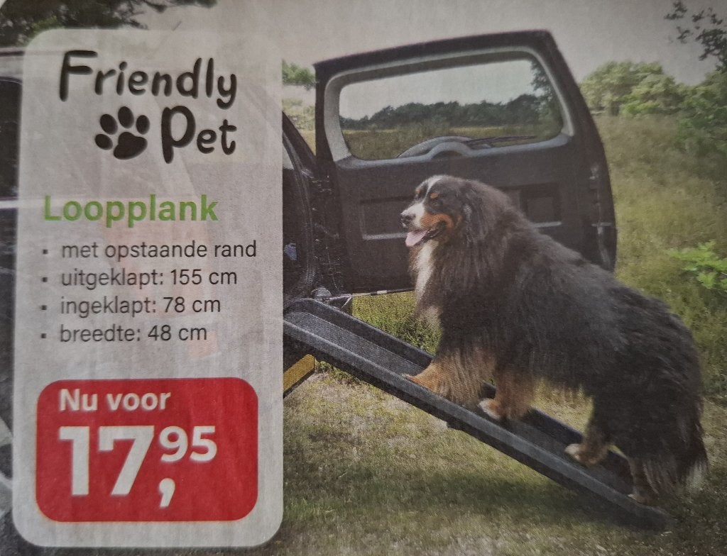 loopplank, Ophalen of Verzenden, Zo goed als nieuw