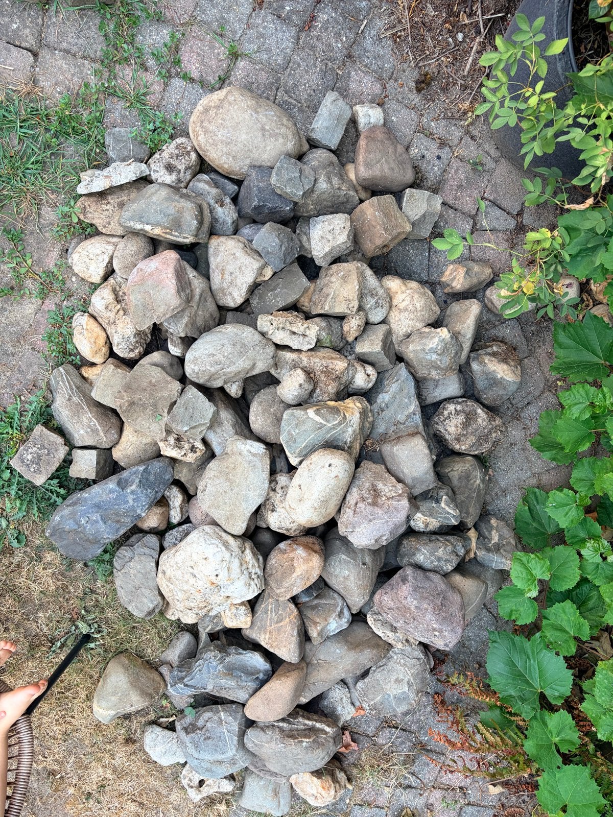 Gratis maaskeien voor tuin of decoratie, Tuin en Terras, Grind, Keien en Split, Ophalen of Verzenden, Gebruikt, Multi, Kei