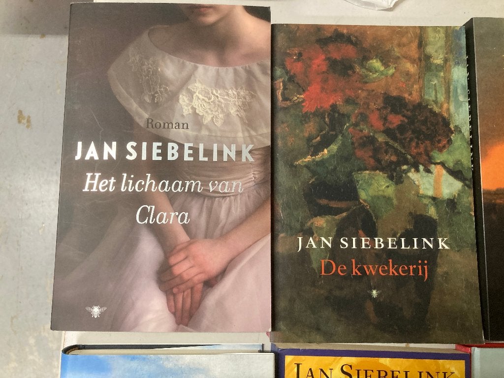 T.K. nog 10 boeken van Jan Siebelink zie actuele lijst, Ophalen of Verzenden, Gelezen, Jan Siebelink, Nederland