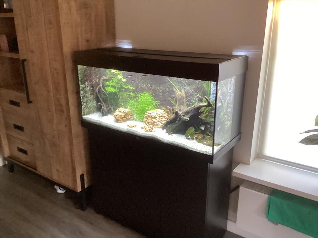 Juwel Rio 180 met meubel zwart, Ophalen, Gebruikt, Inclusief vissen, Gevuld zoetwateraquarium