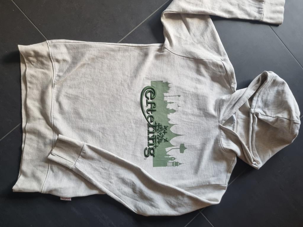 Originele Efteling Hoody - Perfect voor fans!, Ophalen of Verzenden, Gedragen, Maat 48/50 (M), Grijs