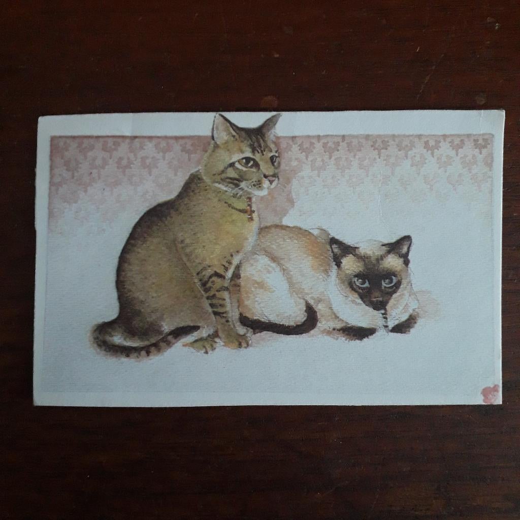 poesjes, Verzenden, 1920 tot 1940, Gelopen, Limburg