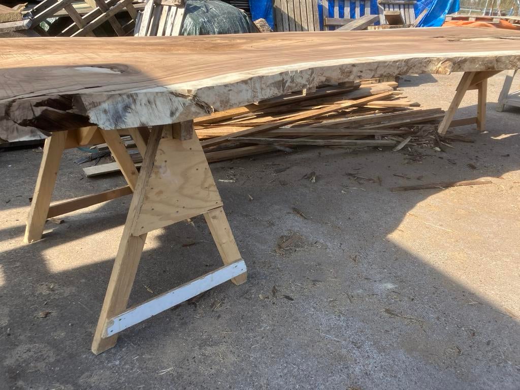 Suar boomstam blad  xx l 470 lang x 150 cm Breed 8 dik 2  st, Ophalen, Vijf personen of meer, Rechthoekig, Nieuw
