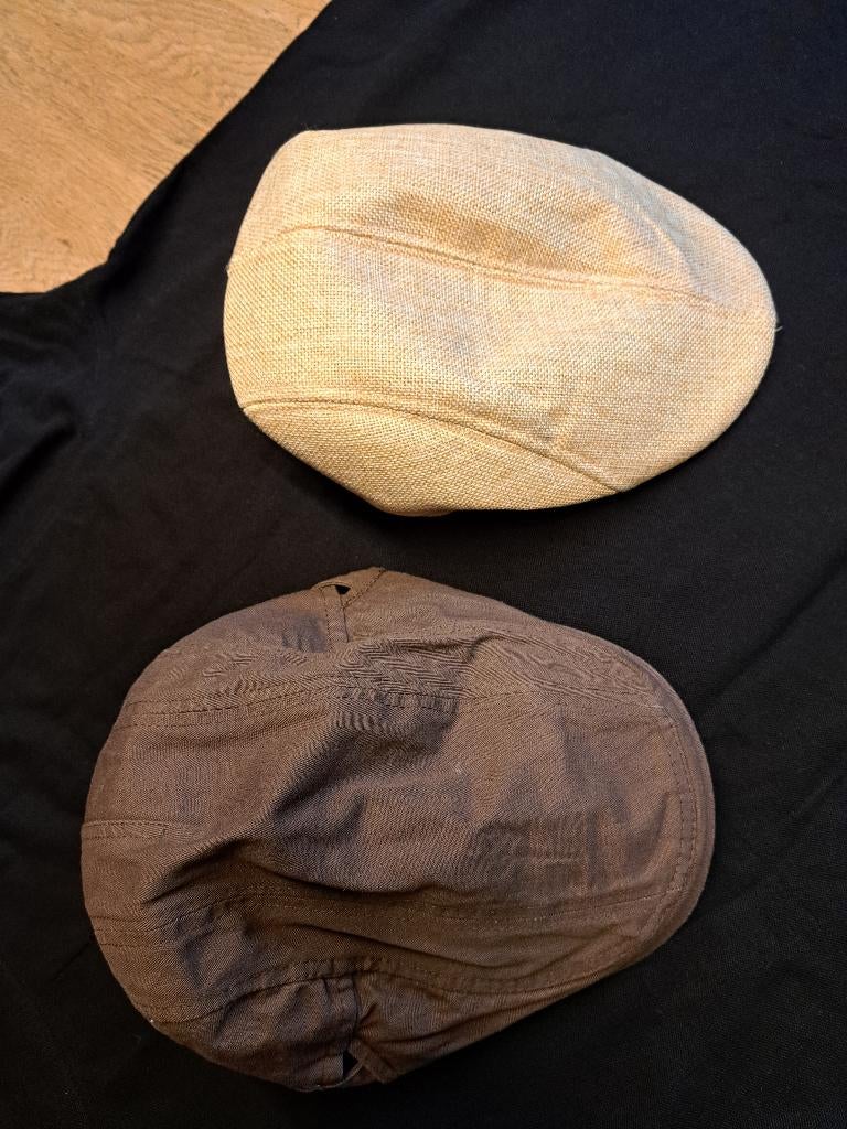 2 nieuwe petten, Carnaval, Ophalen of Verzenden, Nieuw, Carnaval, Accessoires