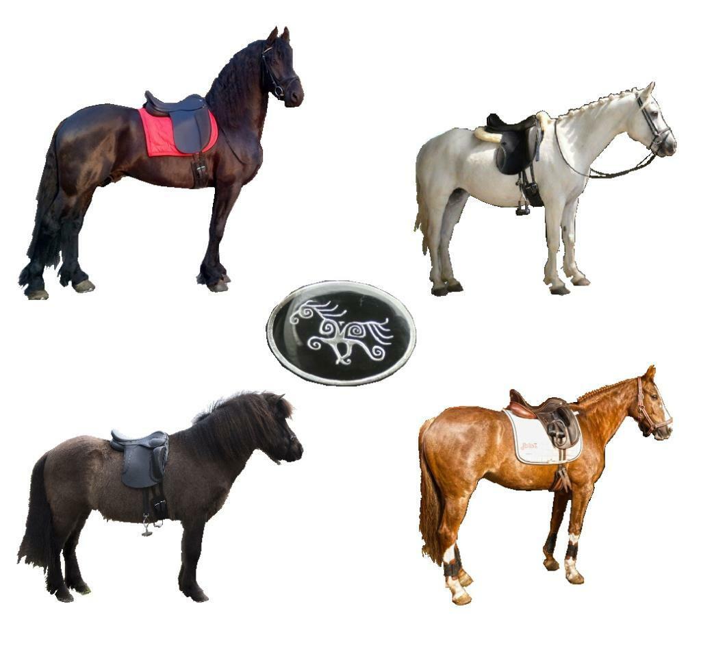 Westeind Zadelmakerij korte  ronde barokke paarden,  Zaldi, Dieren en Toebehoren, Ophalen of Verzenden, Nieuw, Overige soorten