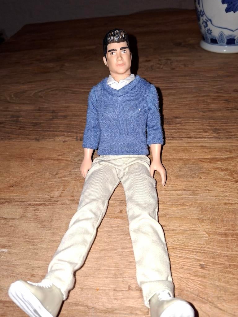 Zayne One Direction Pop in Goede Staat, Ophalen of Verzenden, Zo goed als nieuw, Overige typen