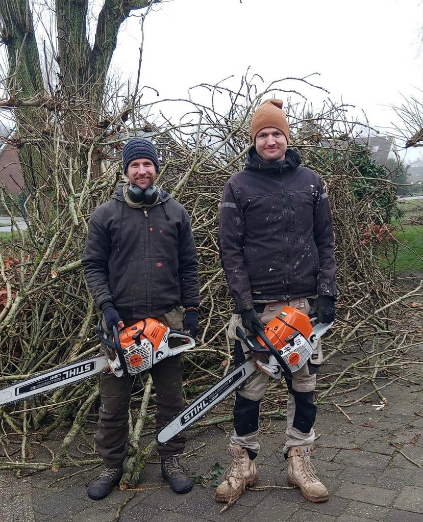 Boomverzorging/ bomen kappen/ boomkap/ bomen snoeien/ rooien, Tuinonderhoud of Snoeiwerk