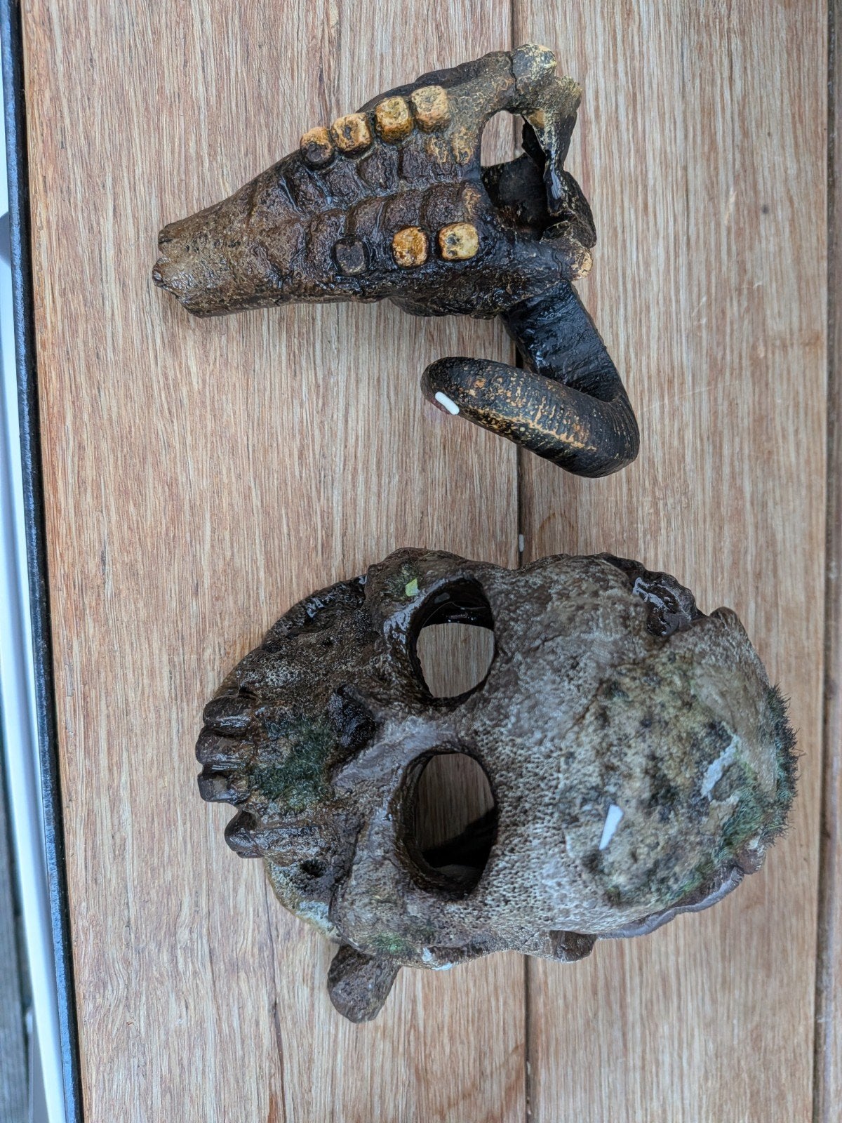 Aquarium decoratie, Dieren en Toebehoren, Ophalen of Verzenden
