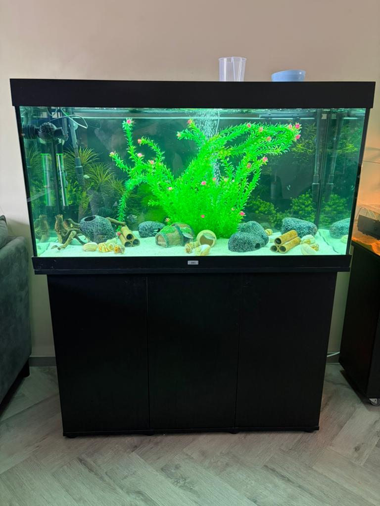 Juwel Rio 350 met inhoud, Dieren en Toebehoren, Ophalen, Gebruikt, Inclusief vissen, Gevuld zoetwateraquarium