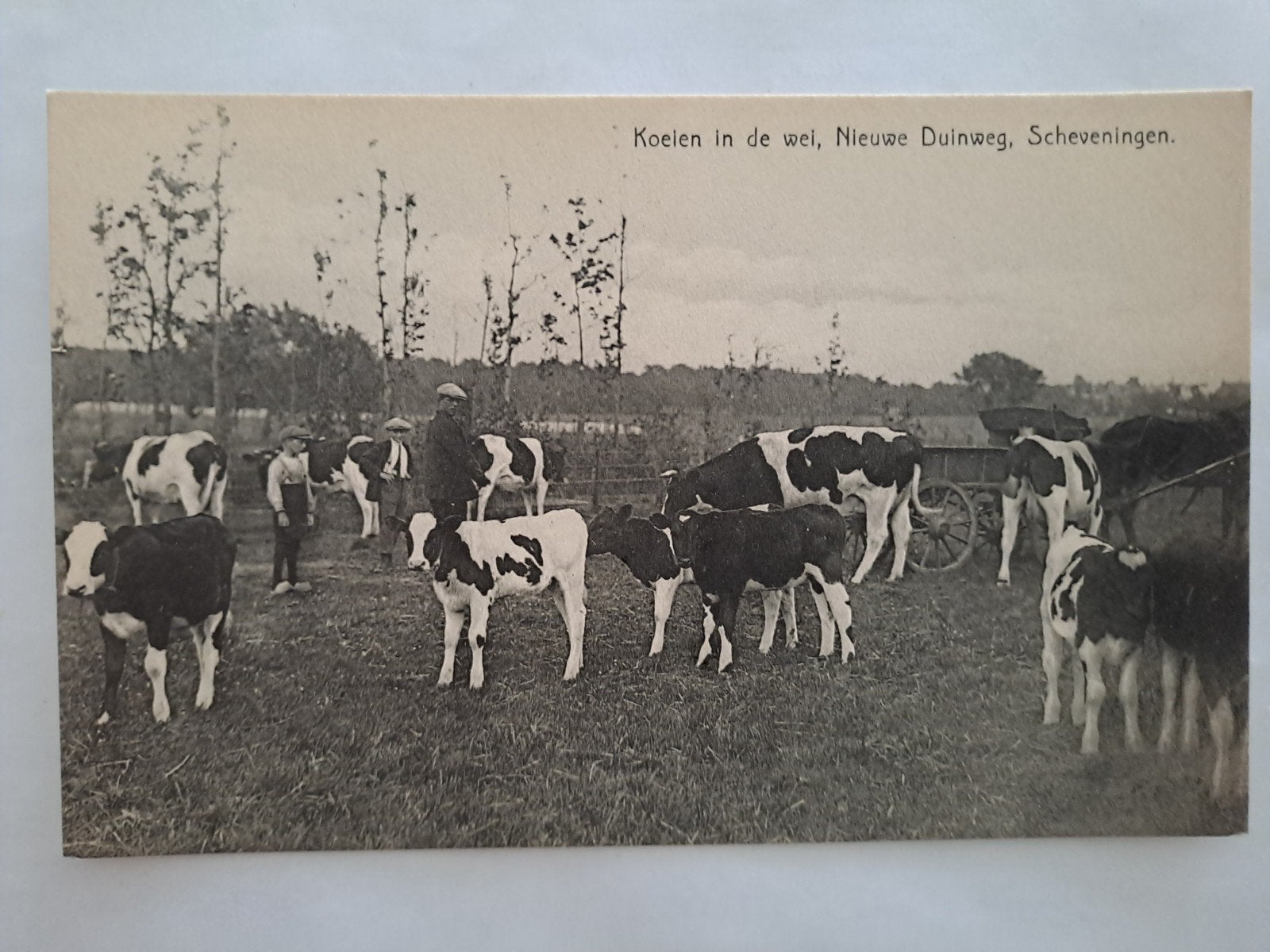Scheveningen, Ophalen of Verzenden, Voor 1920, Zuid-Holland
