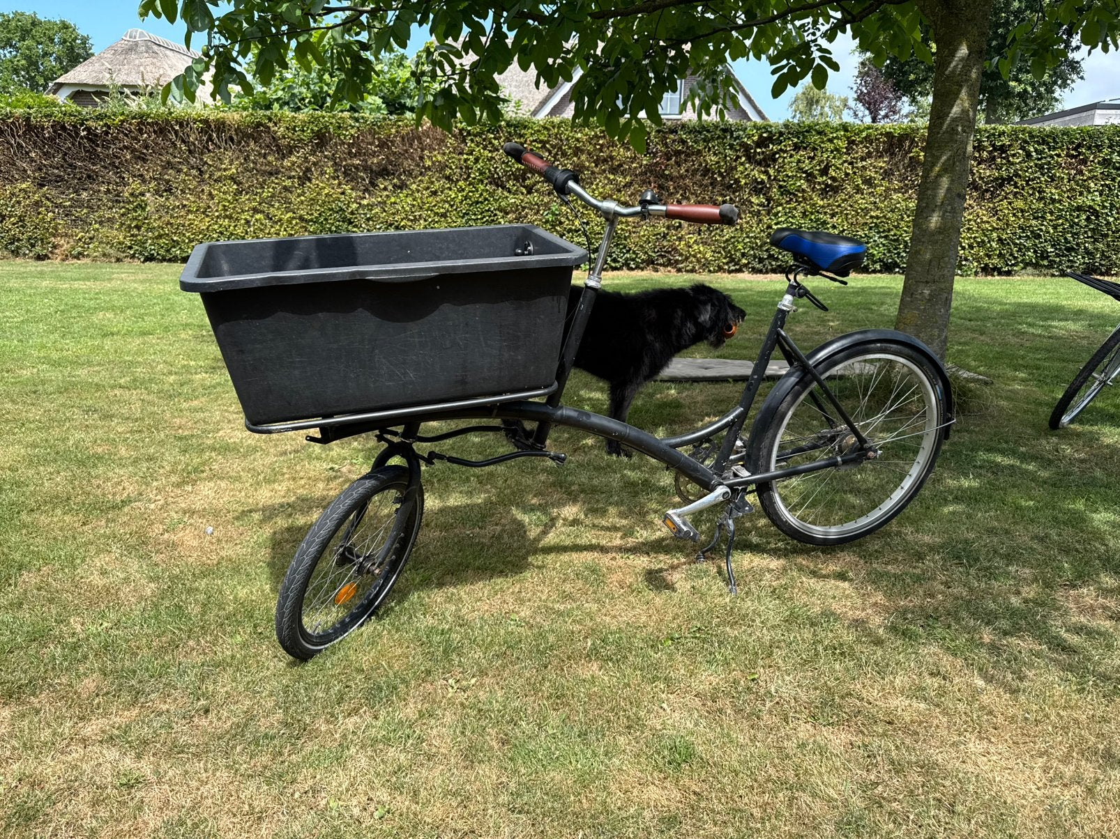 Fietsfabriek Filibus Bakfiets Transportfiets Hondenfiets, Ophalen