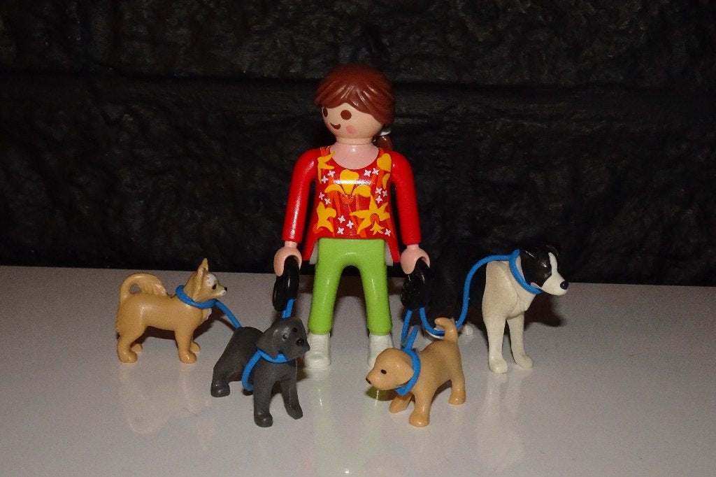 10 - Honden oppas 5380, Ophalen of Verzenden