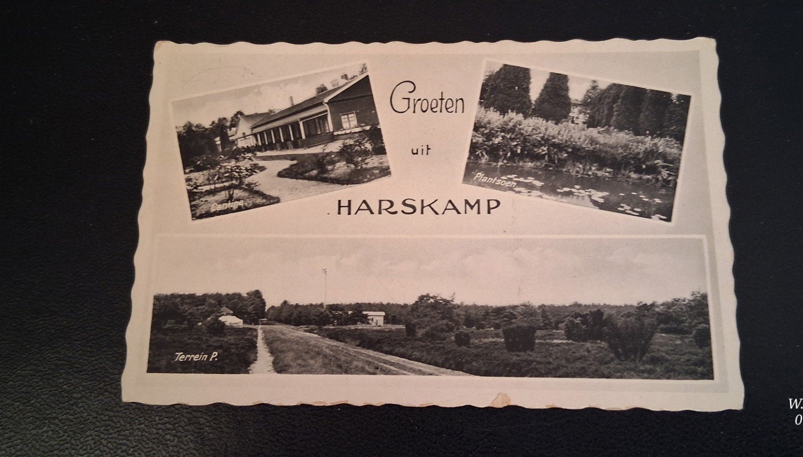 Ansichtkaart Groeten uit Harskamp, Ophalen of Verzenden, 1920 tot 1940, Gelopen